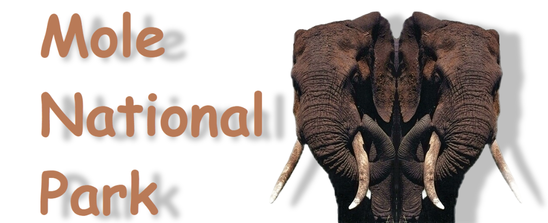 Mole National Park, Upper Erst region, Ghana website